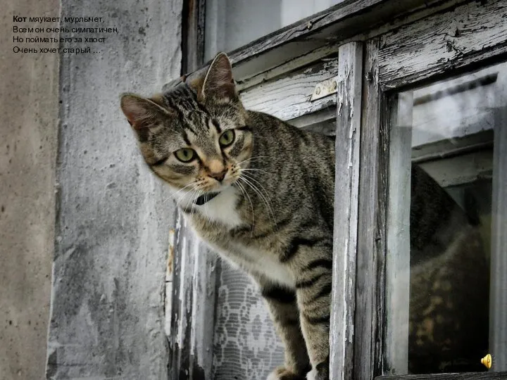 Кот мяукает, мурлычет, Всем он очень симпатичен, Но поймать его за хвост Очень хочет старый …