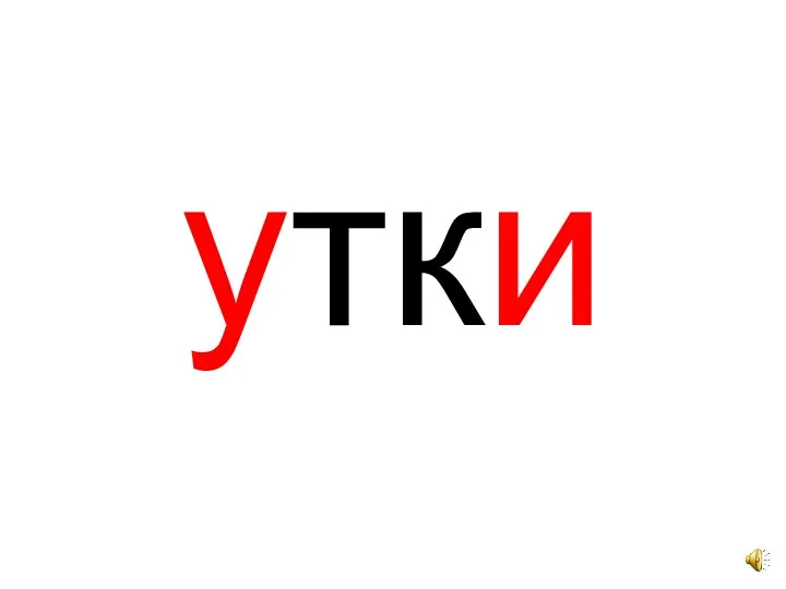 утки