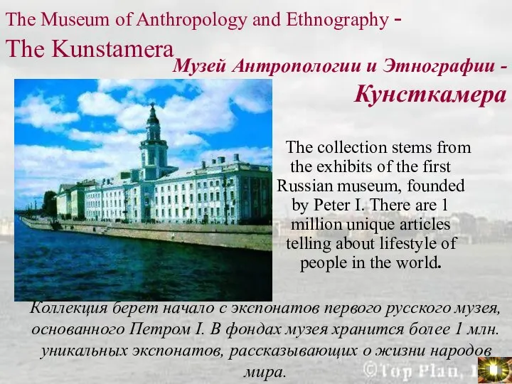 The Museum of Anthropology and Ethnography - The Kunstamera The collection