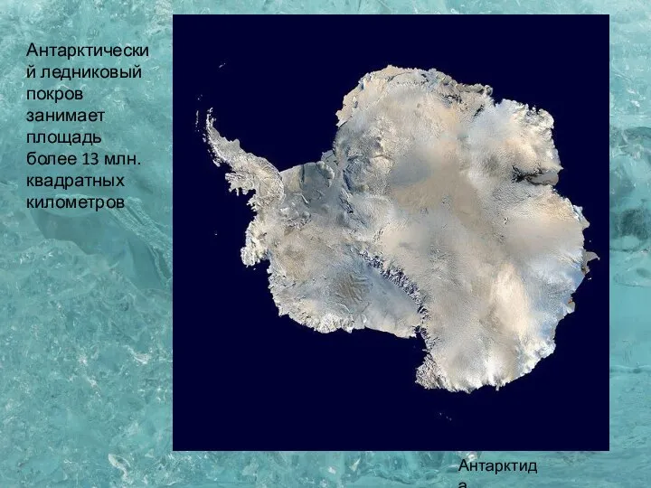 Антарктида Антарктический ледниковый покров занимает площадь более 13 млн. квадратных километров