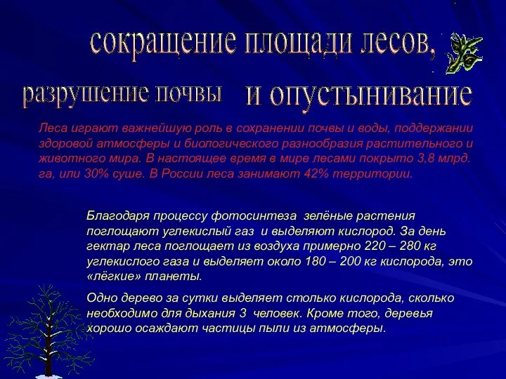 сокращение площади лесов, и опустынивание разрушение почвы Леса играют важнейшую роль