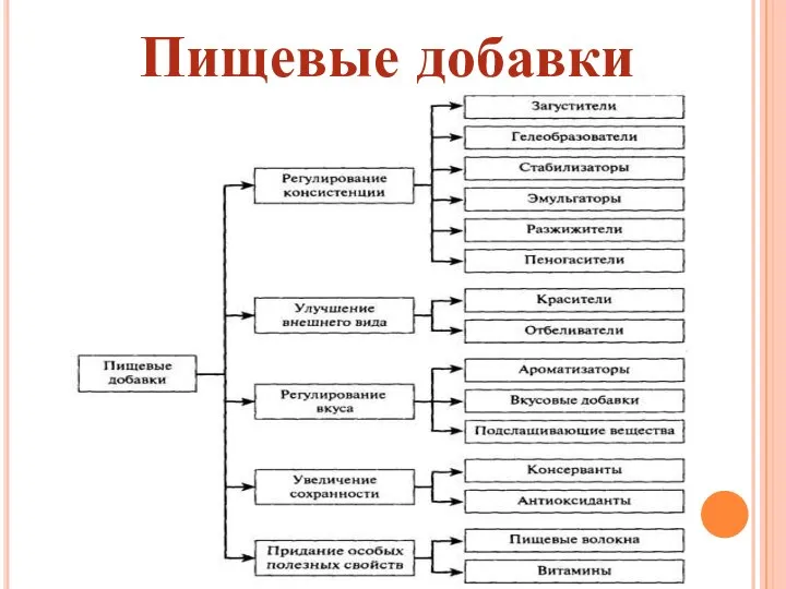 Пищевые добавки