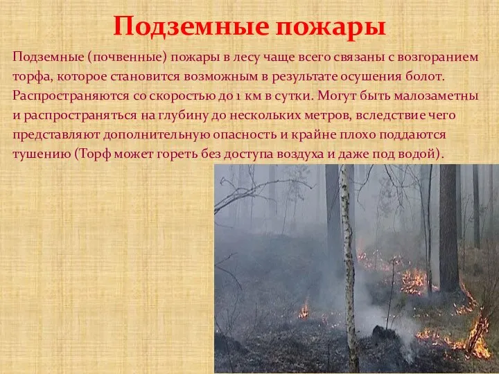 Подземные пожары Подземные (почвенные) пожары в лесу чаще всего связаны с