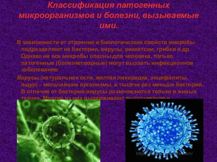 Классификация патогенных микроорганизмов и болезни, вызываемые ими. В зависимости от строения