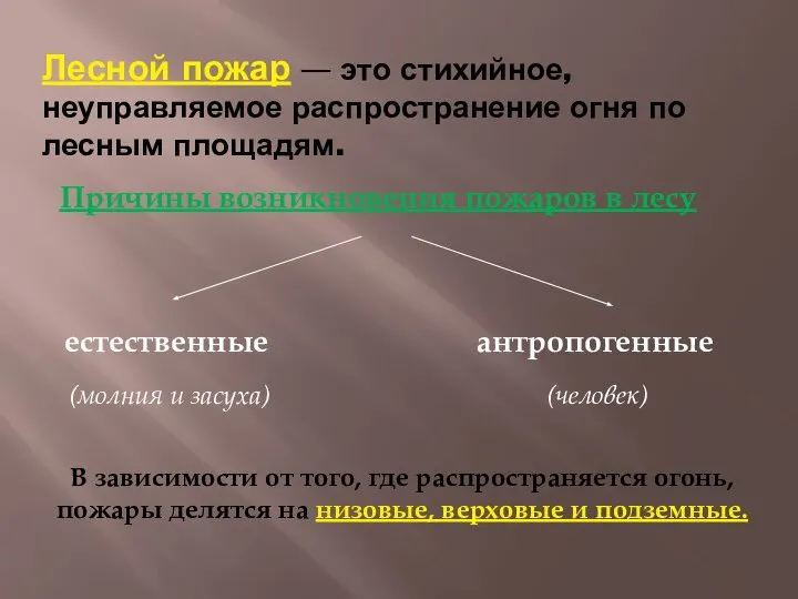 Лесной пожар — это стихийное, неуправляемое распространение огня по лесным площадям.