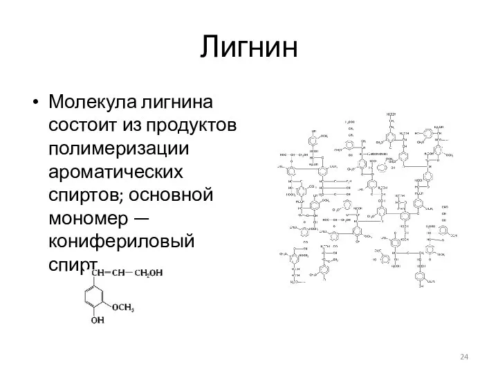 Лигнин Молекула лигнина состоит из продуктов полимеризации ароматических спиртов; основной мономер — конифериловый спирт