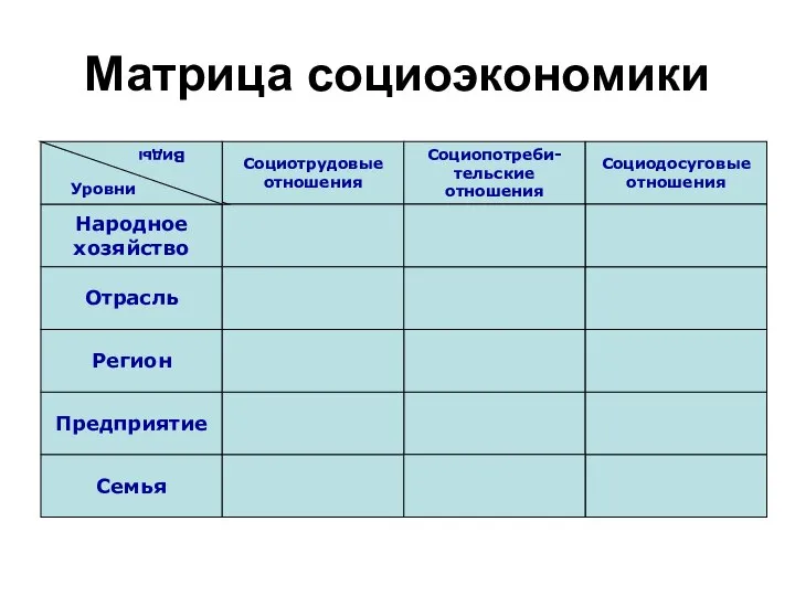 Матрица социоэкономики Социотрудовые отношения Социопотреби- тельские отношения Социодосуговые отношения Народное хозяйство