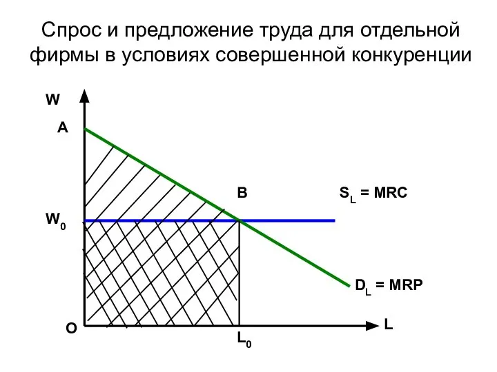 Спрос и предложение труда для отдельной фирмы в условиях совершенной конкуренции