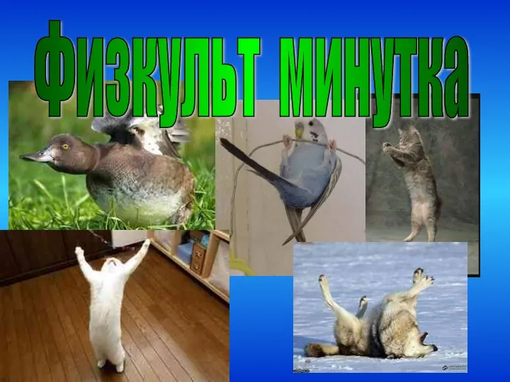 Физкульт минутка