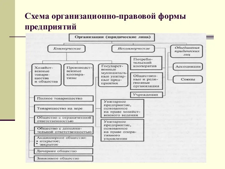 Схема организационно-правовой формы предприятий