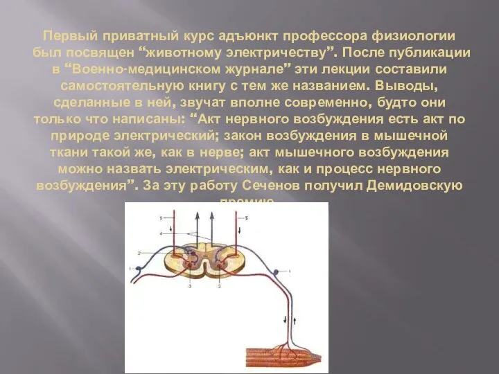 Первый приватный курс адъюнкт профессора физиологии был посвящен “животному электричеству”. После