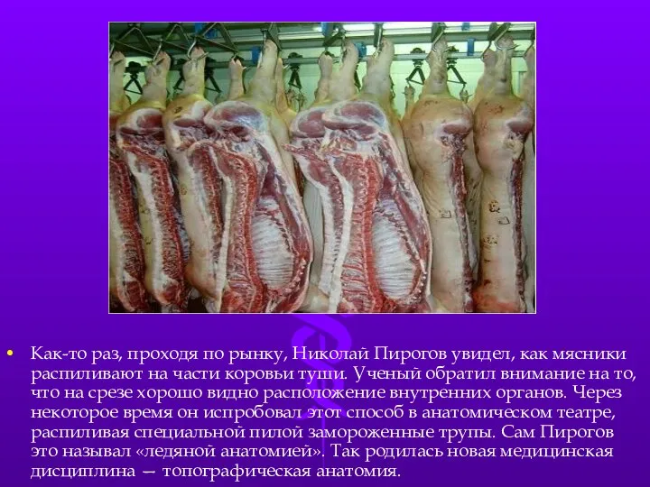 Как-то раз, проходя по рынку, Николай Пирогов увидел, как мясники распиливают