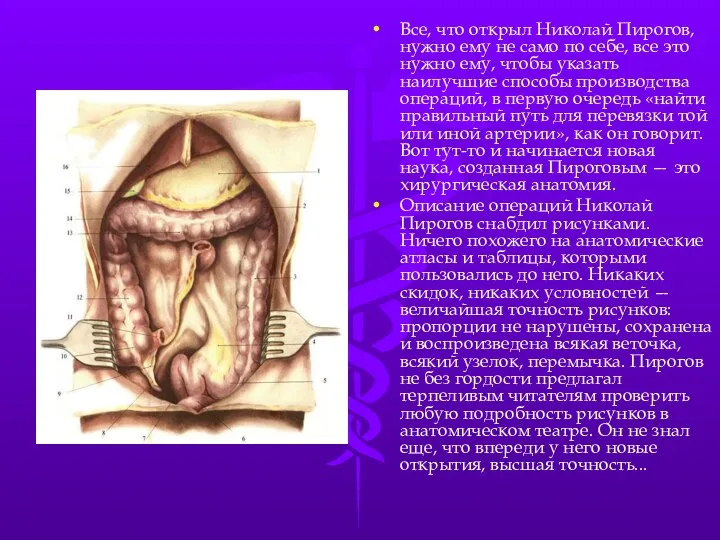 Все, что открыл Николай Пирогов, нужно ему не само по себе,