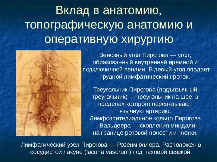 Вклад в анатомию, топографическую анатомию и оперативную хирургию Венозный угол Пирогова