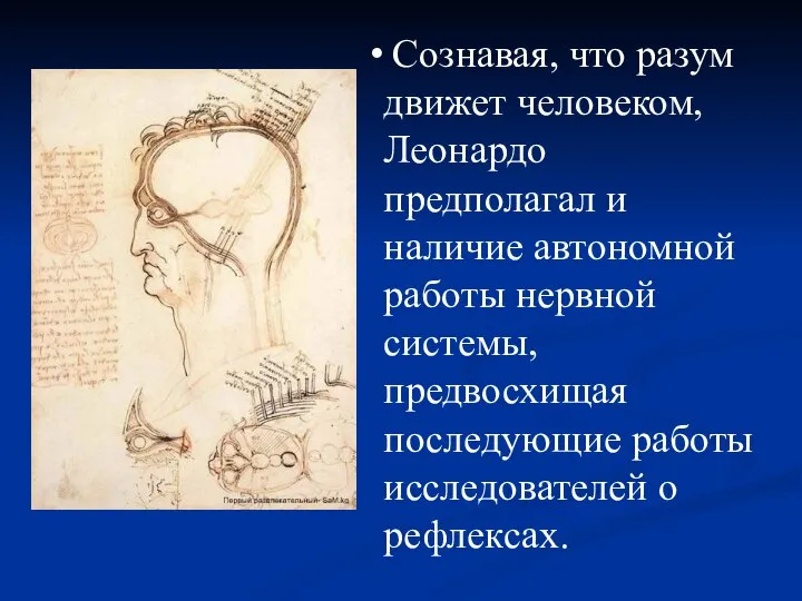 Сознавая, что разум движет человеком, Леонардо предполагал и наличие автономной работы