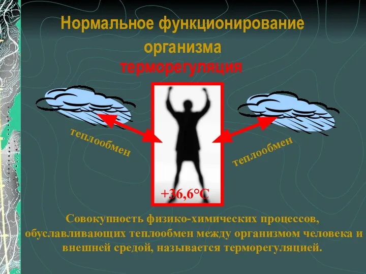 Нормальное функционирование организма терморегуляция +36,6°С теплообмен теплообмен Совокупность физико-химических процессов, обуславливающих