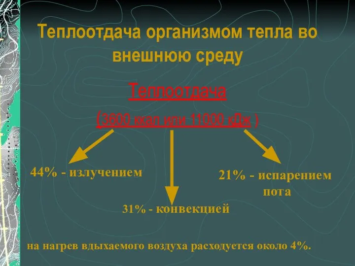 Теплоотдача организмом тепла во внешнюю среду Теплоотдача (3600 ккал или 11000