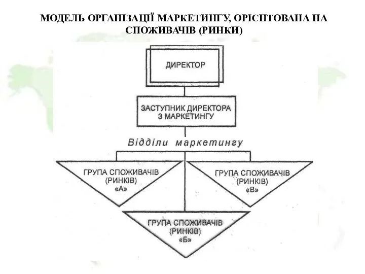 МОДЕЛЬ ОРГАНІЗАЦІЇ МАРКЕТИНГУ, ОРІЄНТОВАНА НА СПОЖИВАЧІВ (РИНКИ)