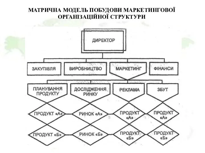 МАТРИЧНА МОДЕЛЬ ПОБУДОВИ МАРКЕТИНГОВОЇ ОРГАНІЗАЦІЙНОЇ СТРУКТУРИ