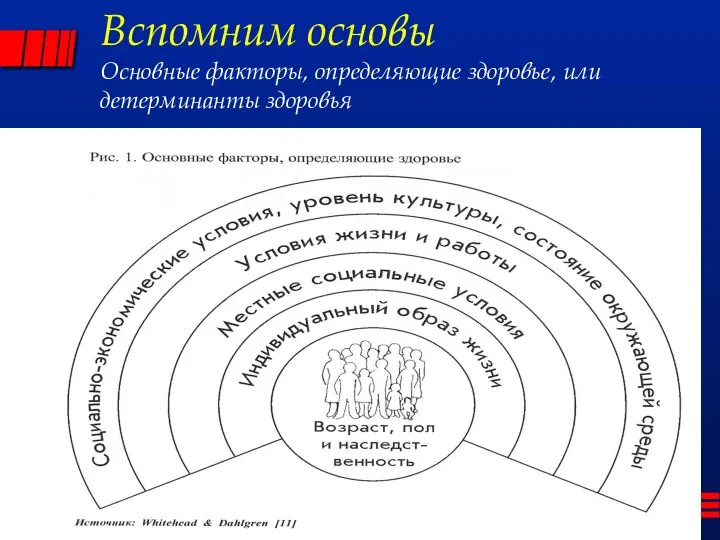 Вспомним основы Основные факторы, определяющие здоровье, или детерминанты здоровья