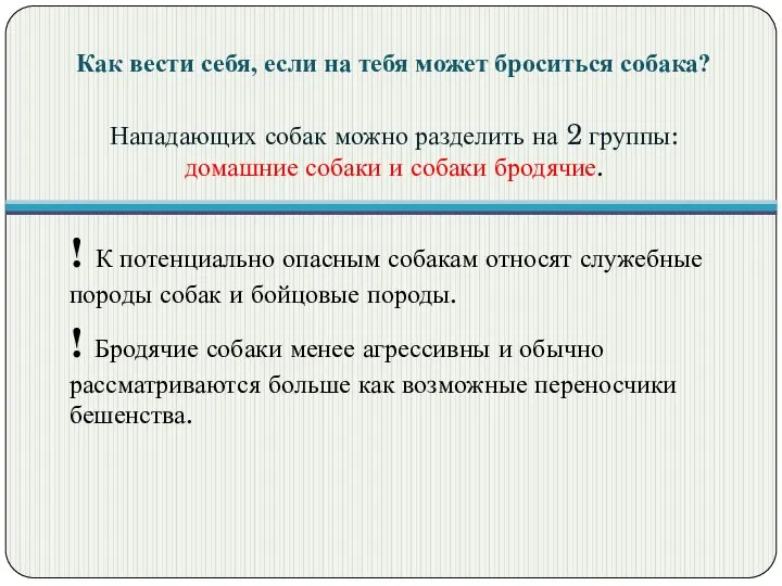 Как вести себя, если на тебя может броситься собака? Нападающих собак