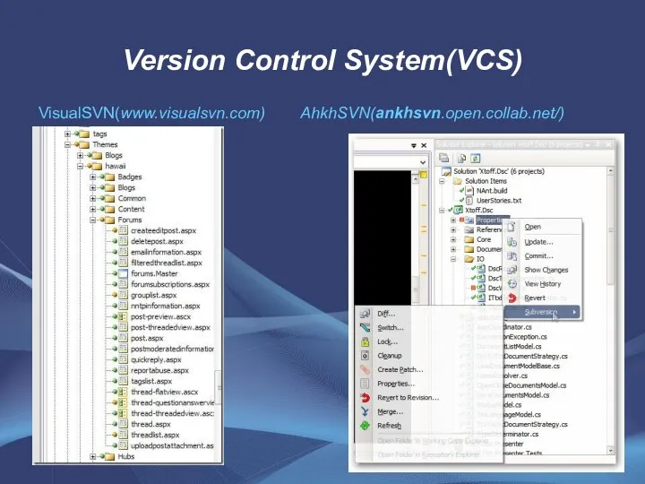 Version Control System(VCS) VisualSVN(www.visualsvn.com) AhkhSVN(ankhsvn.open.collab.net/)