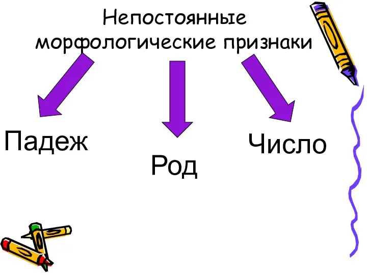 Непостоянные морфологические признаки Падеж Число Род