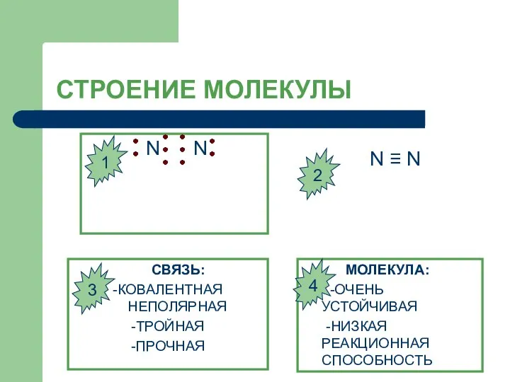 СТРОЕНИЕ МОЛЕКУЛЫ N N N ≡ N СВЯЗЬ: -КОВАЛЕНТНАЯ НЕПОЛЯРНАЯ -ТРОЙНАЯ