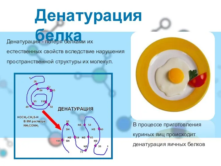 Денатурация белка В процессе приготовления куриных яиц происходит денатурация яичных белков