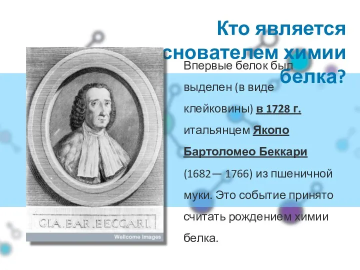 Кто является основателем химии белка? Впервые белок был выделен (в виде