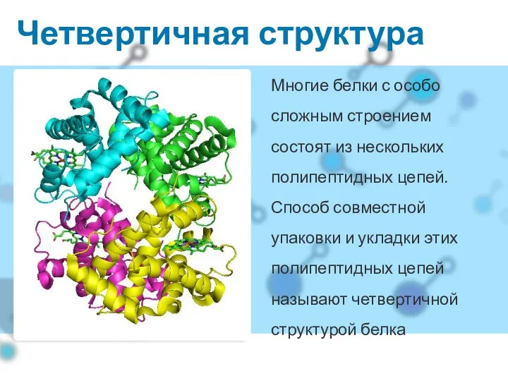 Четвертичная структура Многие белки с особо сложным строением состоят из нескольких