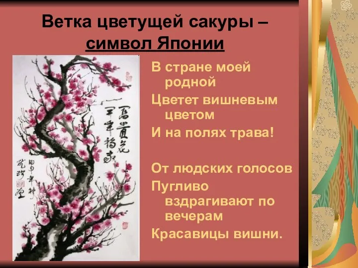 Ветка цветущей сакуры – символ Японии В стране моей родной Цветет