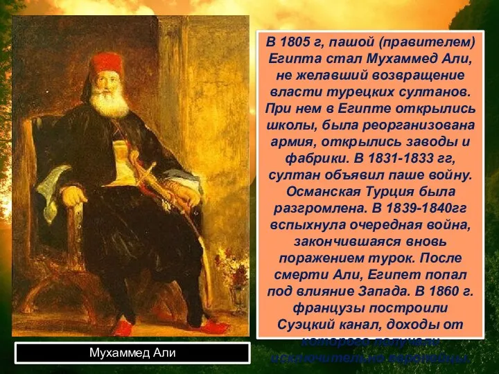 Мухаммед Али В 1805 г, пашой (правителем) Египта стал Мухаммед Али,