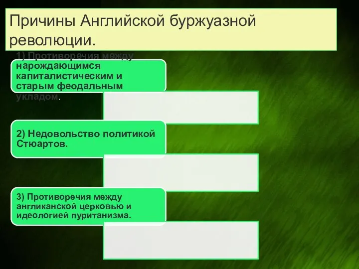 Причины Английской буржуазной революции.