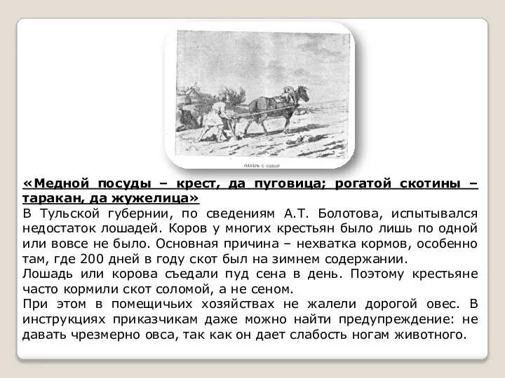 «Медной посуды – крест, да пуговица; рогатой скотины – таракан, да