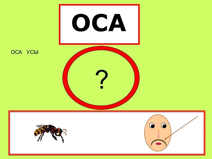 ОСА ОСА УСЫ ?