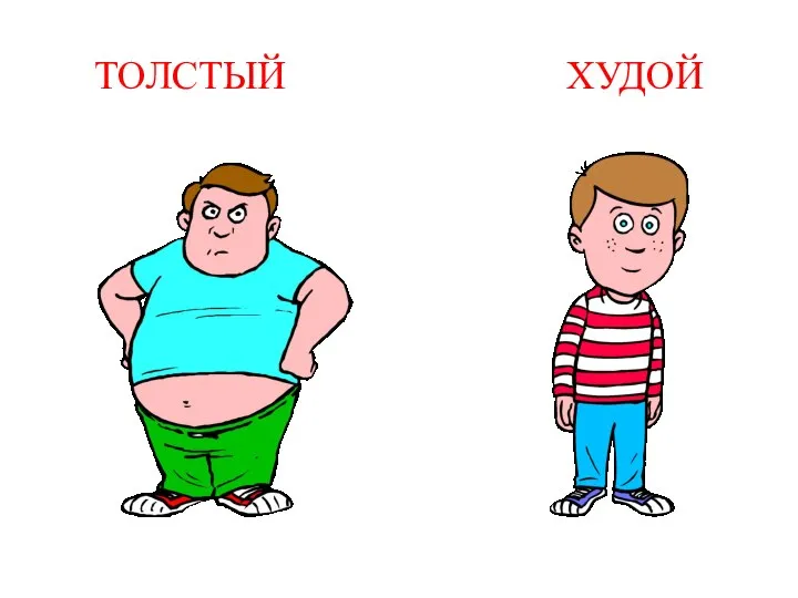 ТОЛСТЫЙ ХУДОЙ