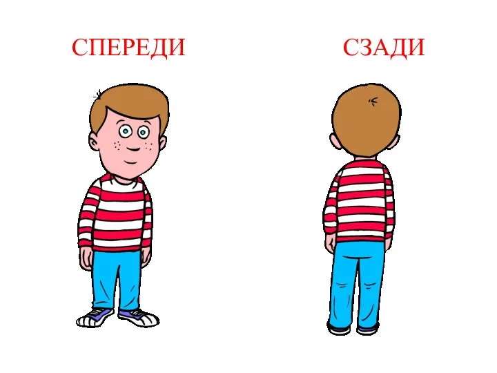 СПЕРЕДИ СЗАДИ