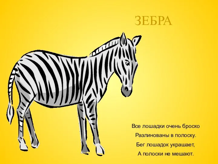 ЗЕБРА Все лошадки очень броско Разлинованы в полоску. Бег лошадок украшает, А полоски не мешают.