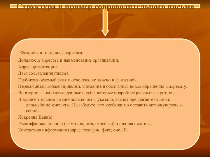 Структура и пример сопроводительного письма Фамилия и инициалы адресата. Должность адресата