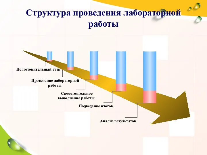 Структура проведения лабораторной работы Подготовительный этап Проведение лабораторной работы Самостоятельное выполнение работы Подведение итогов Анализ результатов