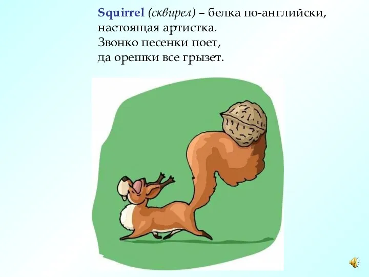 Squirrel (сквирел) – белка по-английски, настоящая артистка. Звонко песенки поет, да орешки все грызет.