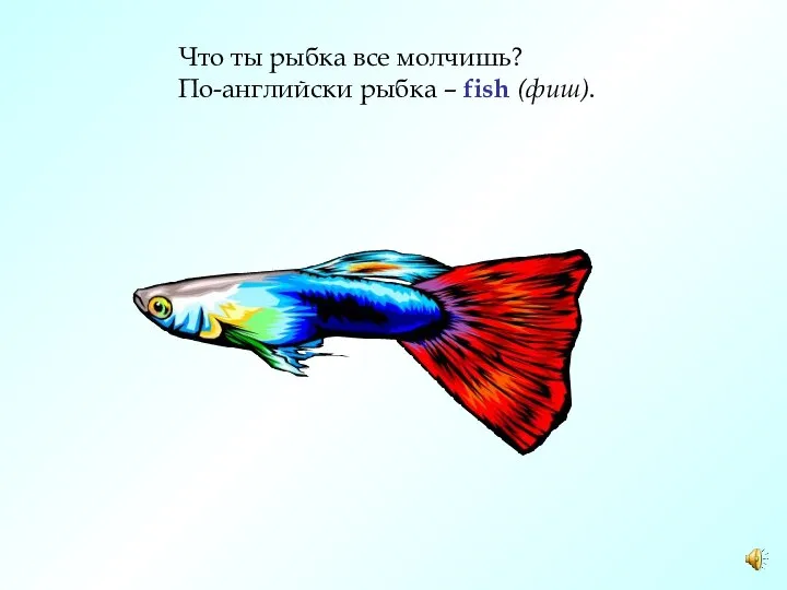 Что ты рыбка все молчишь? По-английски рыбка – fish (фиш).