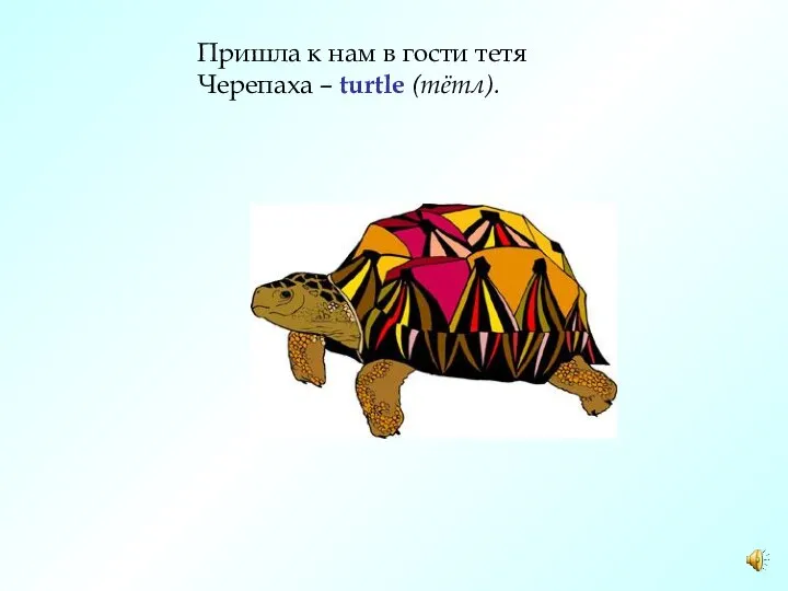 Пришла к нам в гости тетя Черепаха – turtle (тётл).