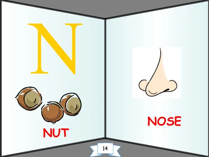 NOSE N NUT 14