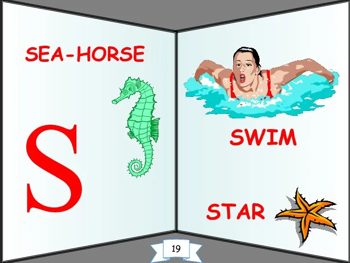 STAR SEA-HORSE S SWIM 19