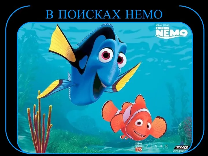 В ПОИСКАХ НЕМО