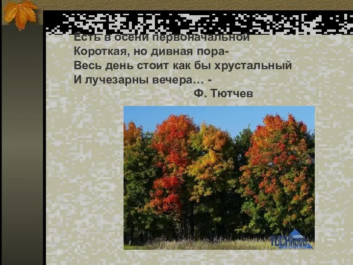 Есть в осени первоначальной Короткая, но дивная пора- Весь день стоит