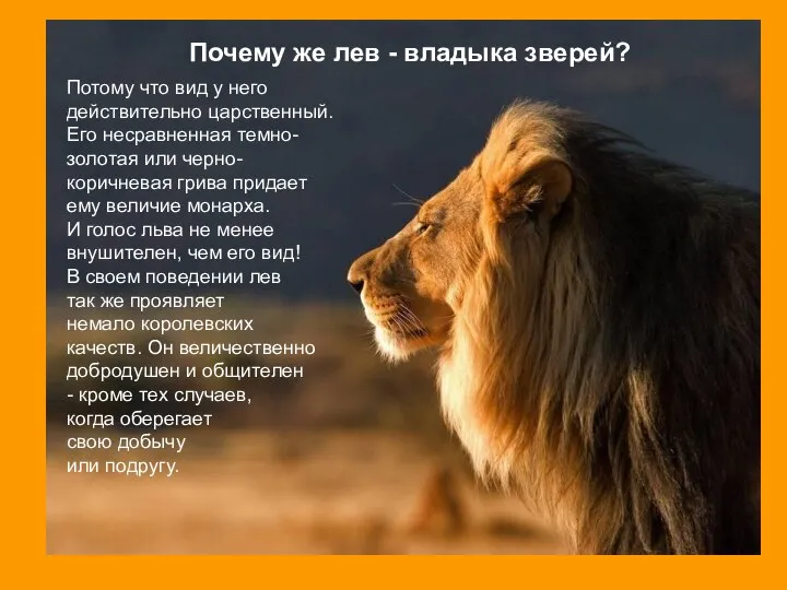 Потому что вид у него действительно царственный. Его несравненная темно- золотая