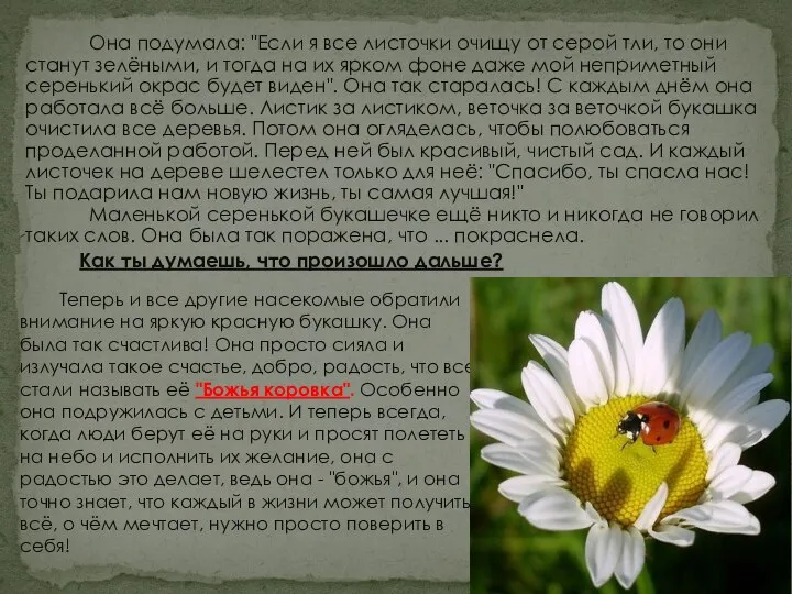 Она подумала: "Если я все листочки очищу от серой тли, то